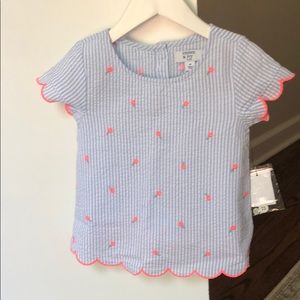 Crown and ivy seersucker short set